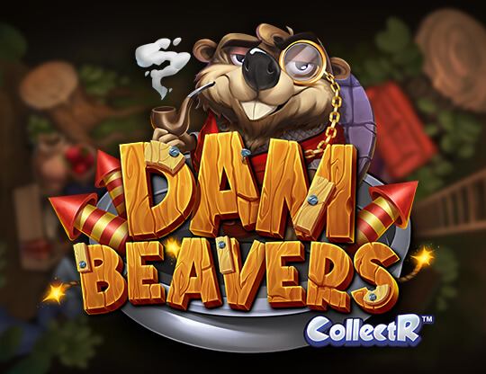 Dam Beavers